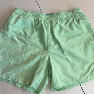 Polo by Ralph Lauren Men’s M Light Green Swim Shorts